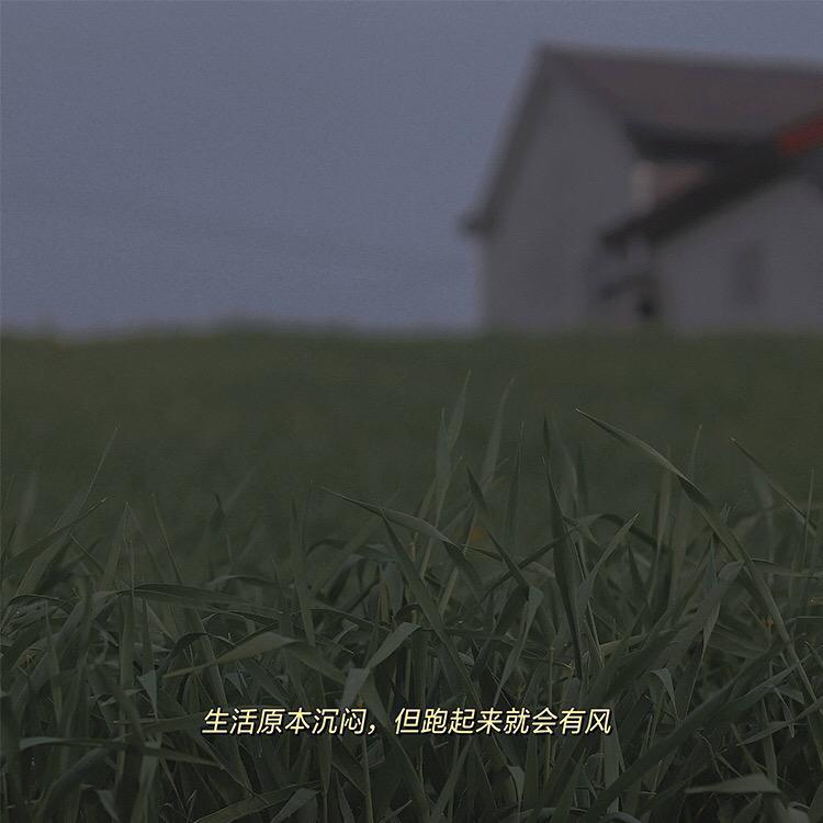 十二封面