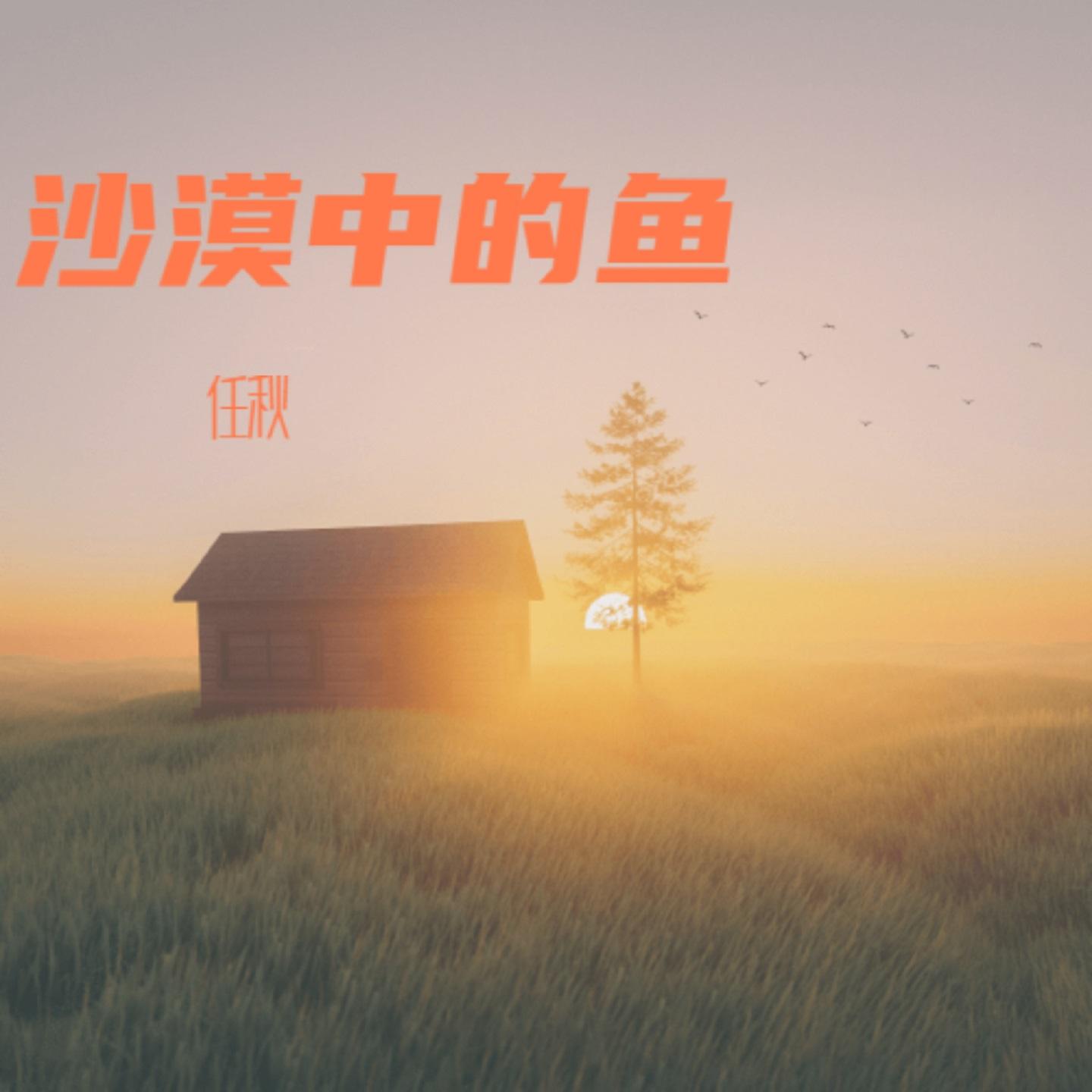 沙漠中的鱼封面