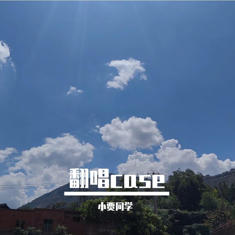 不及雨封面