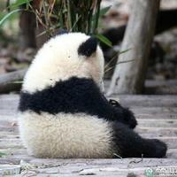 阿楠
