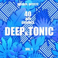 Deep & Tonic (40 Bar Grooves), Vol. 1