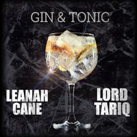 Gin & Tonic