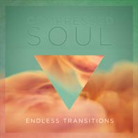 Endless Transitions