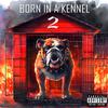 TEMM DOGG - BORN IN A KENNEL 2