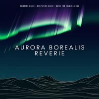 Aurora Borealis Reverie