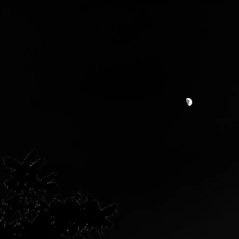 哥只是个传说（翻自 陈旭） - 瑶封面