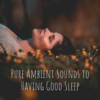 Pure Ambient Sounds to Having Good Sleep