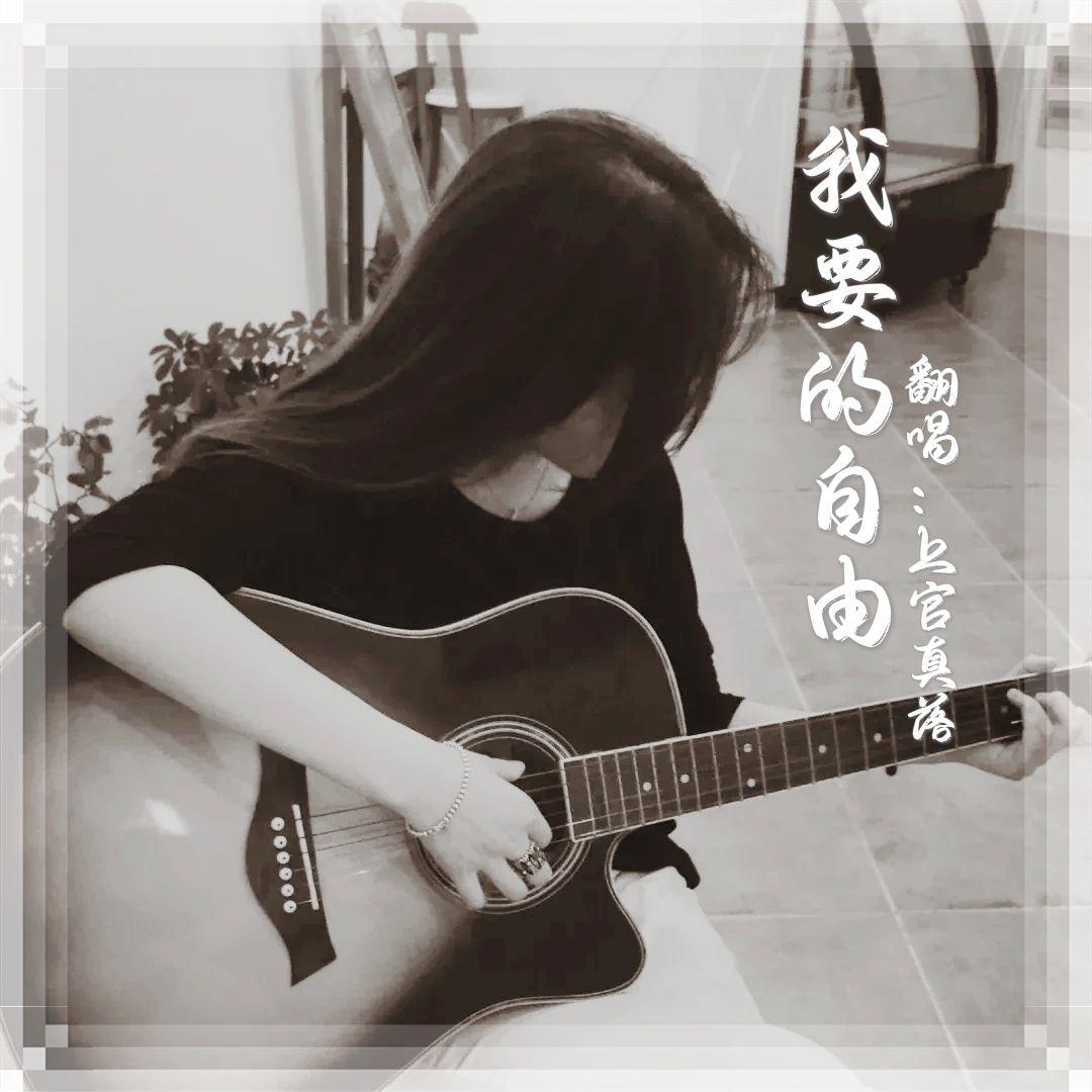 我要的自由封面