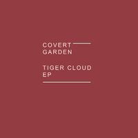 Tiger Cloud