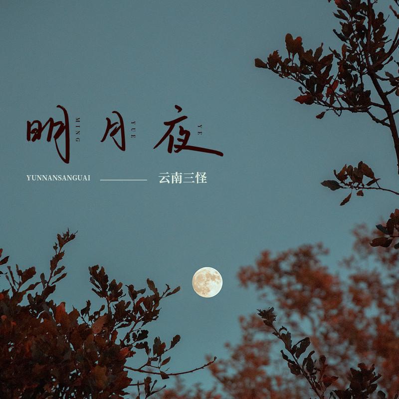 明月夜 (伴奏)封面