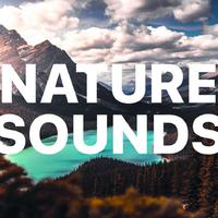 Nature Sounds Nature Seasons