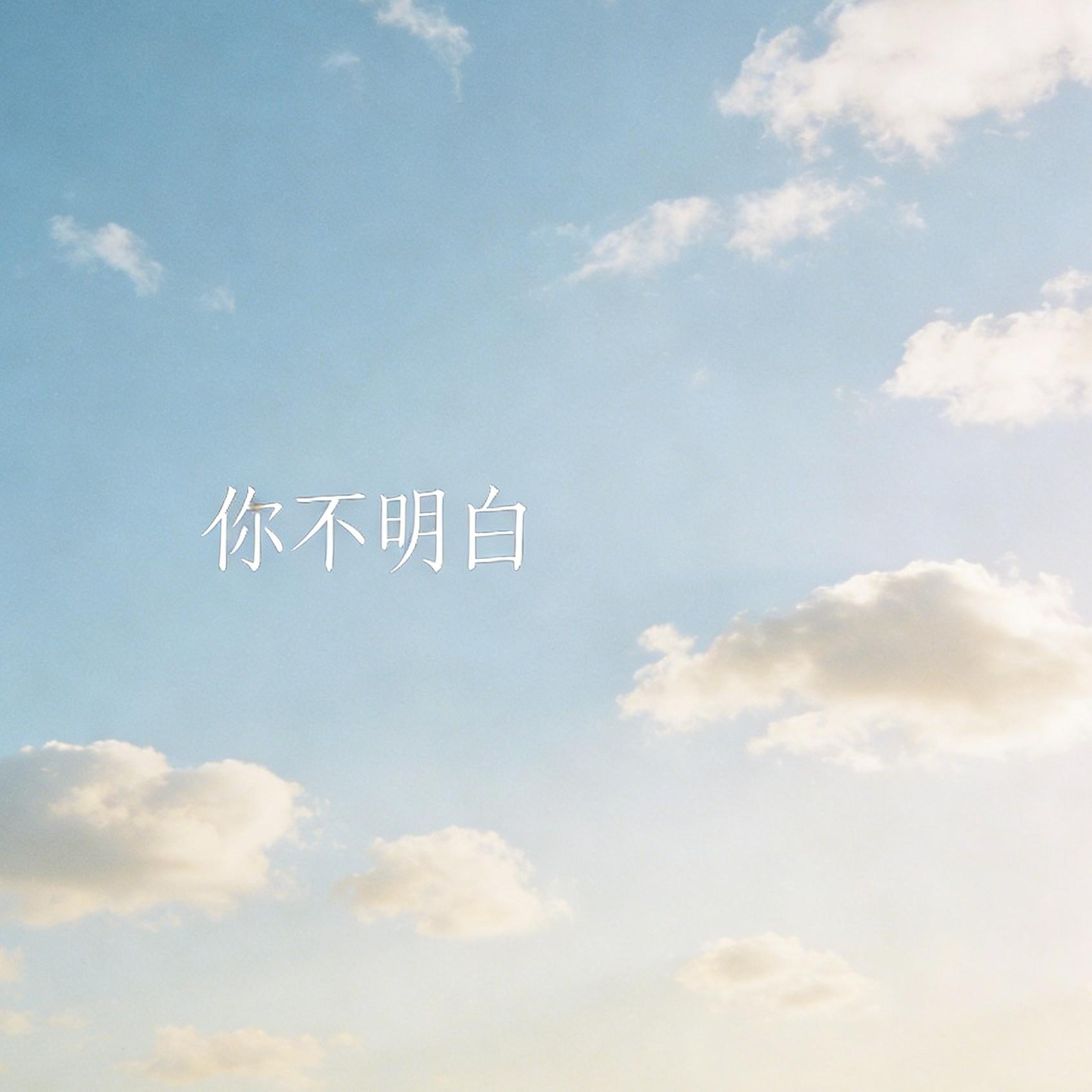 你不明白 动感版 - 渡川封面
