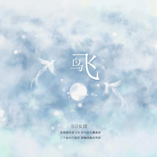 飞鸟 (伴奏)封面
