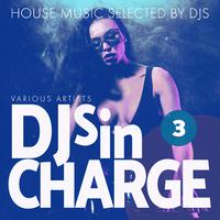 Djs in Charge, Vol. 3