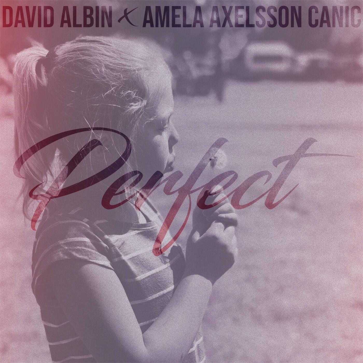 Perfect (feat. Amela Axelsson Canic)
