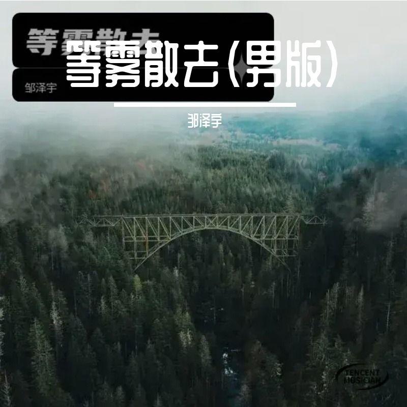 等雾散去(男版) - 邹智衡封面