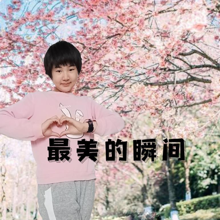 最美的瞬间（女生版）封面