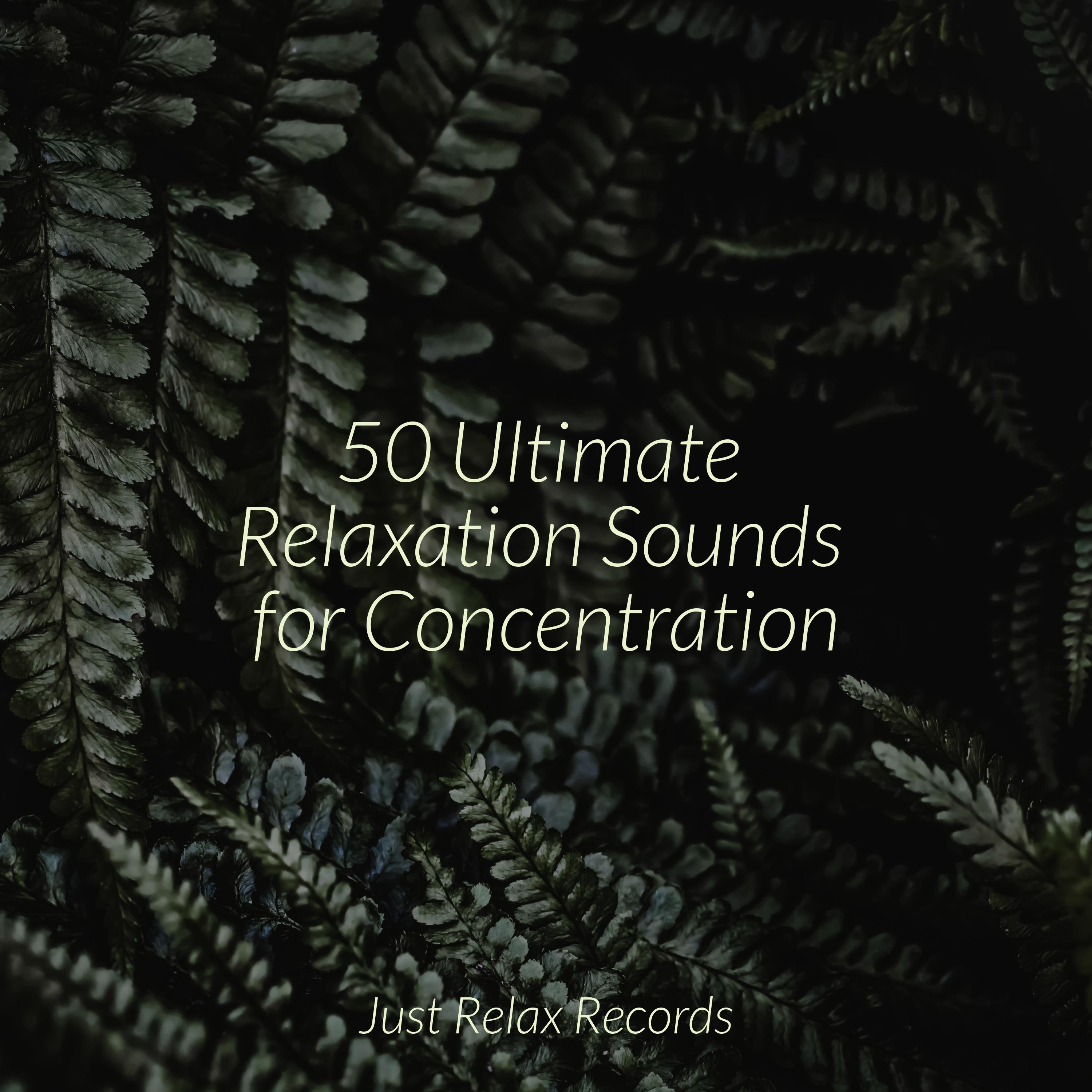 Emerald Solace Melody Preschool Kids/Calming Sounds/Musica Romantica