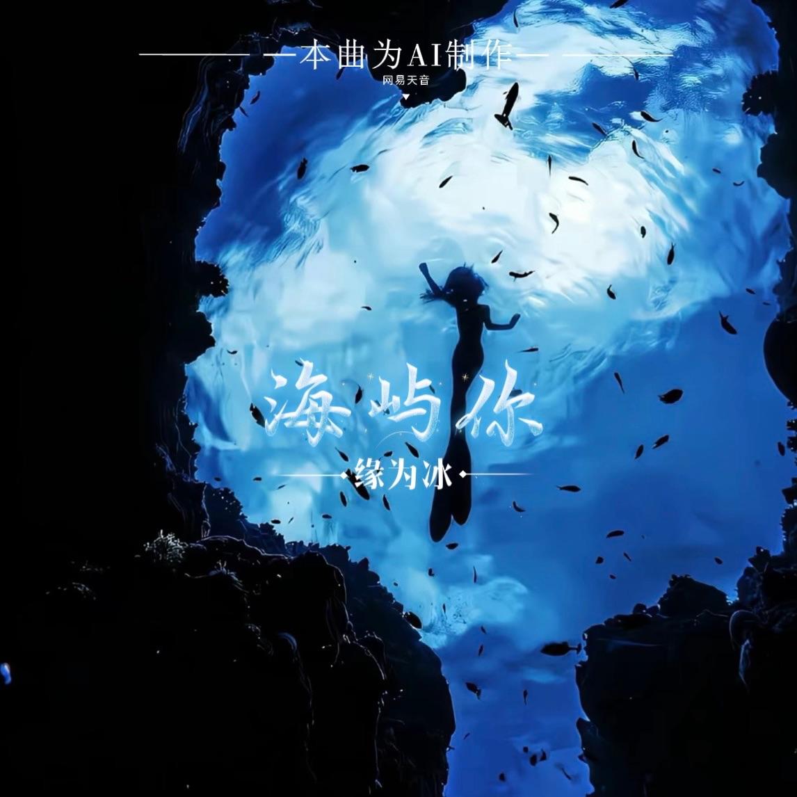 海屿你(这回忆的漩涡)封面