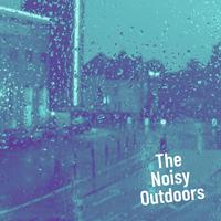 The Noisy Outdoors