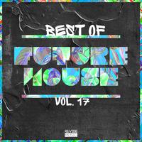 Best of Future House, Vol. 17