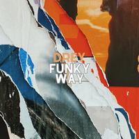 Funky Way