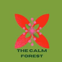 The calm forest