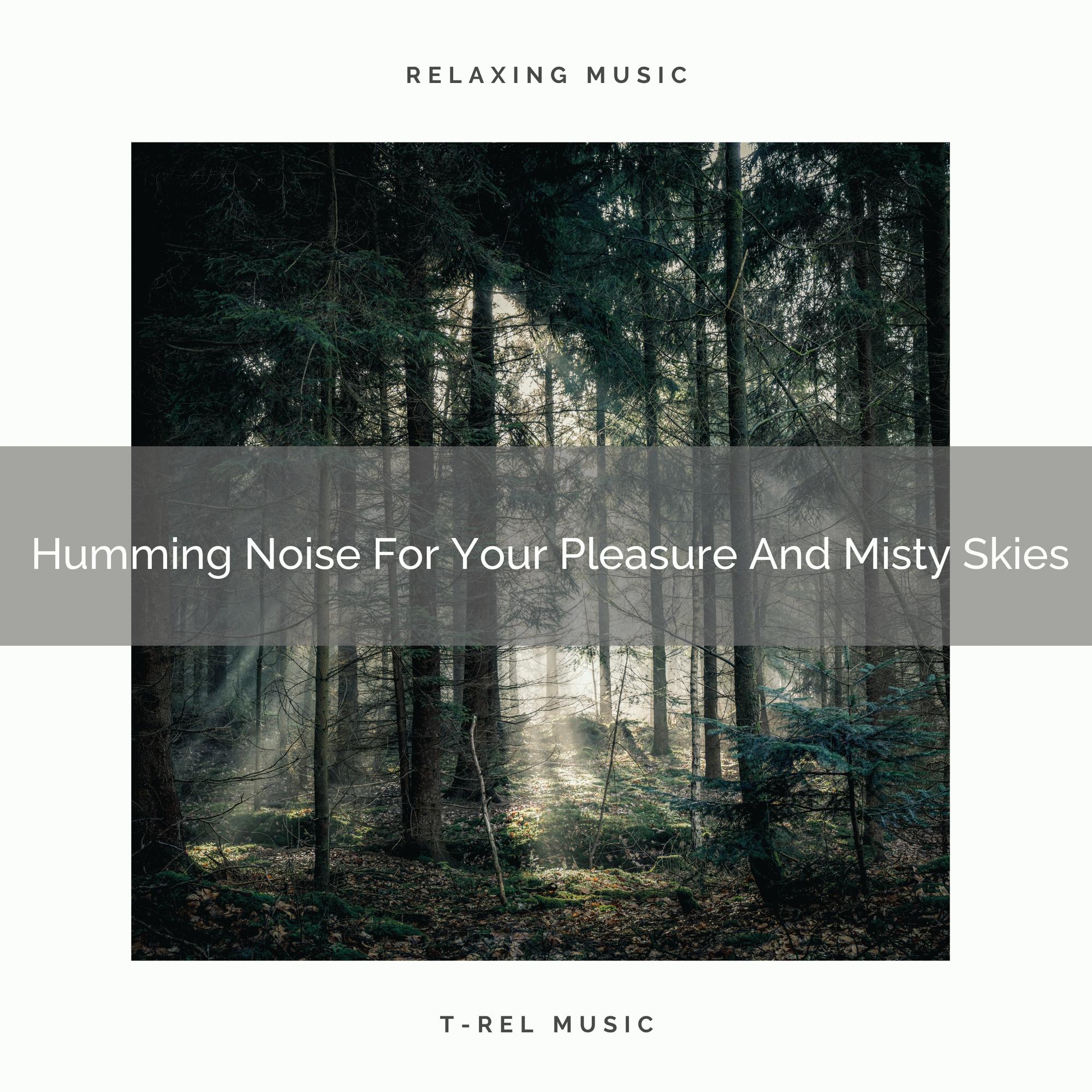 Humming Noise For Your Pleasure And Bootup