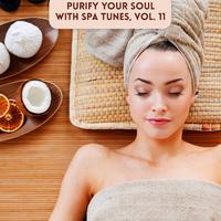 Purify Your Soul with Spa Tunes, Vol. 11