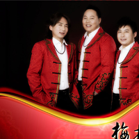 梅林组合资料,梅林组合最新歌曲,梅林组合MV视频,梅林组合音乐专辑,梅林组合好听的歌