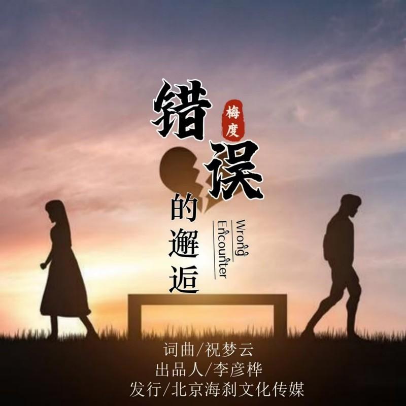 错误的邂逅封面