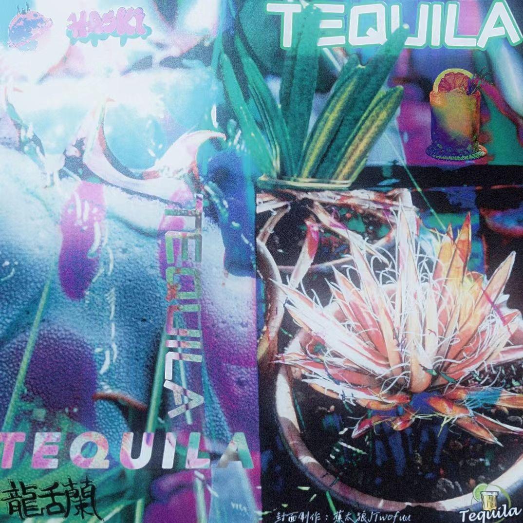 TEQUILA（太亏啦）