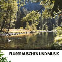 Flussrauschen und Musik: Die Rhythmen der Wasserwege der Natur