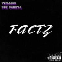 FACTZ (feat. DBE Omerta)