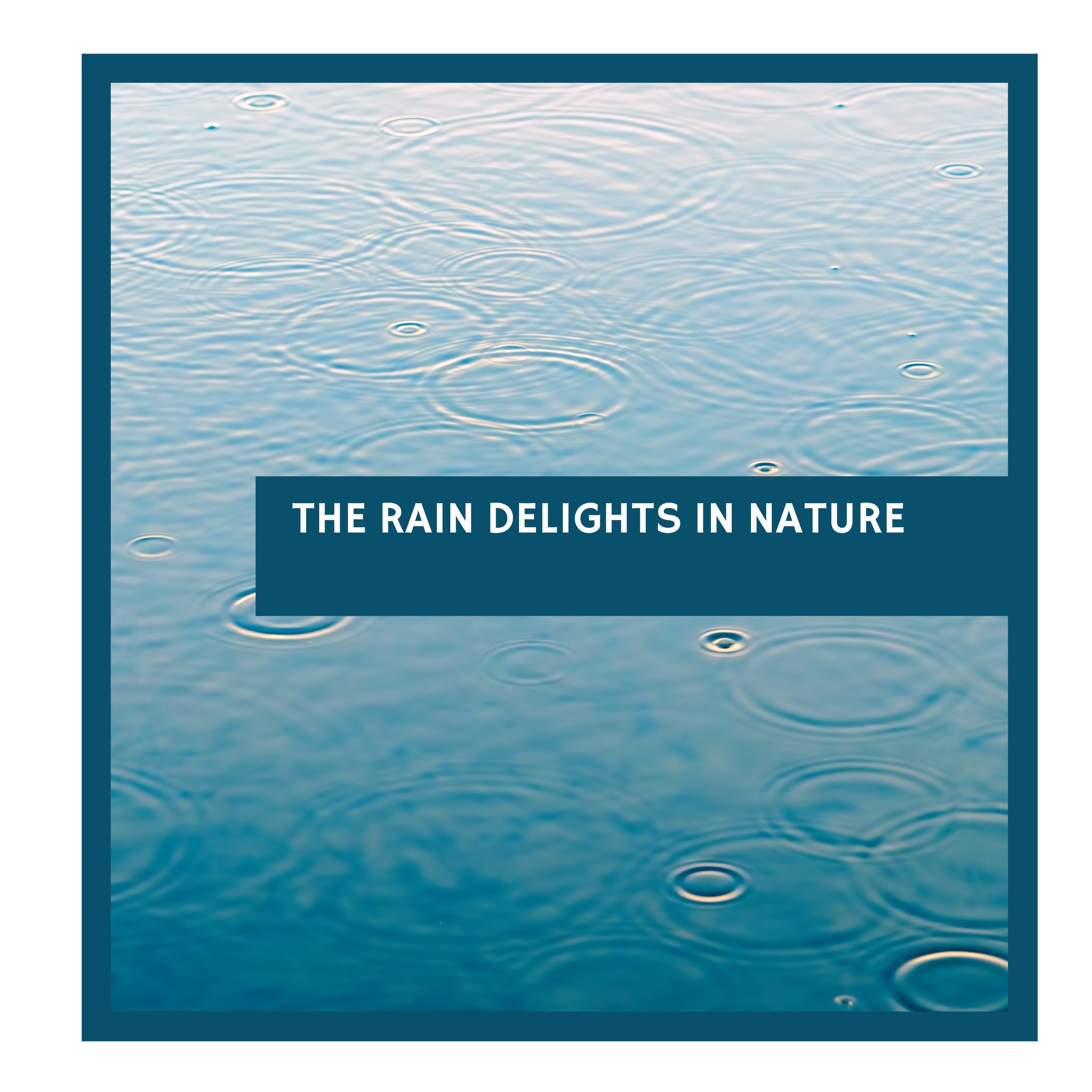 Lush Forest Ambience