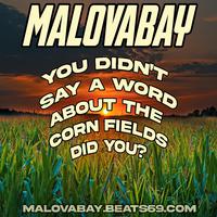 You Didn't Say A Word About The Corn Fields Did You? (feat. Mr. Child Hood Memories)