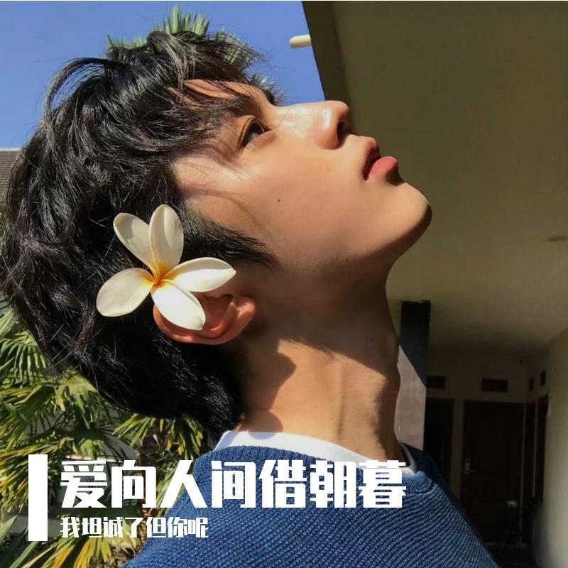 爱向人间借朝暮封面
