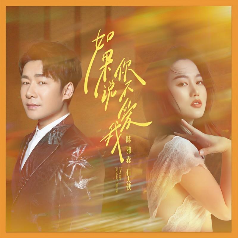 如果说你不爱我 - 陈雅森、石大侠封面