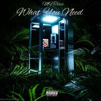 What You Need (feat. BoxHeaD, YoungG & Odyssey)