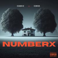 NUMBERX