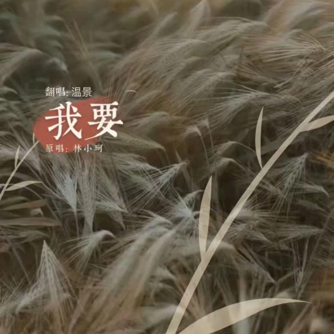 我要(cover林小珂）封面