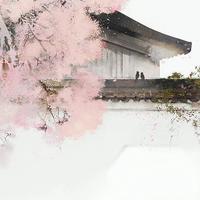 言七七Yaki