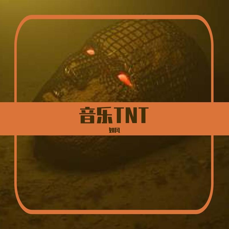 迷魂曲封面