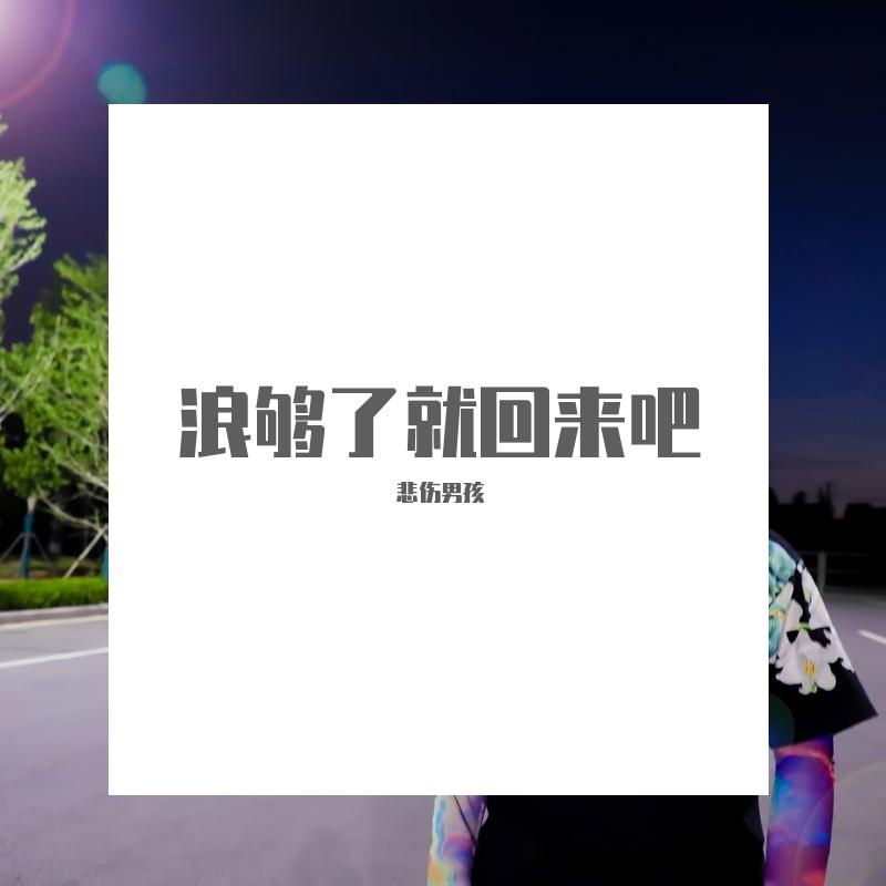 浪够了就回来吧（Prod. PUNISHME）封面