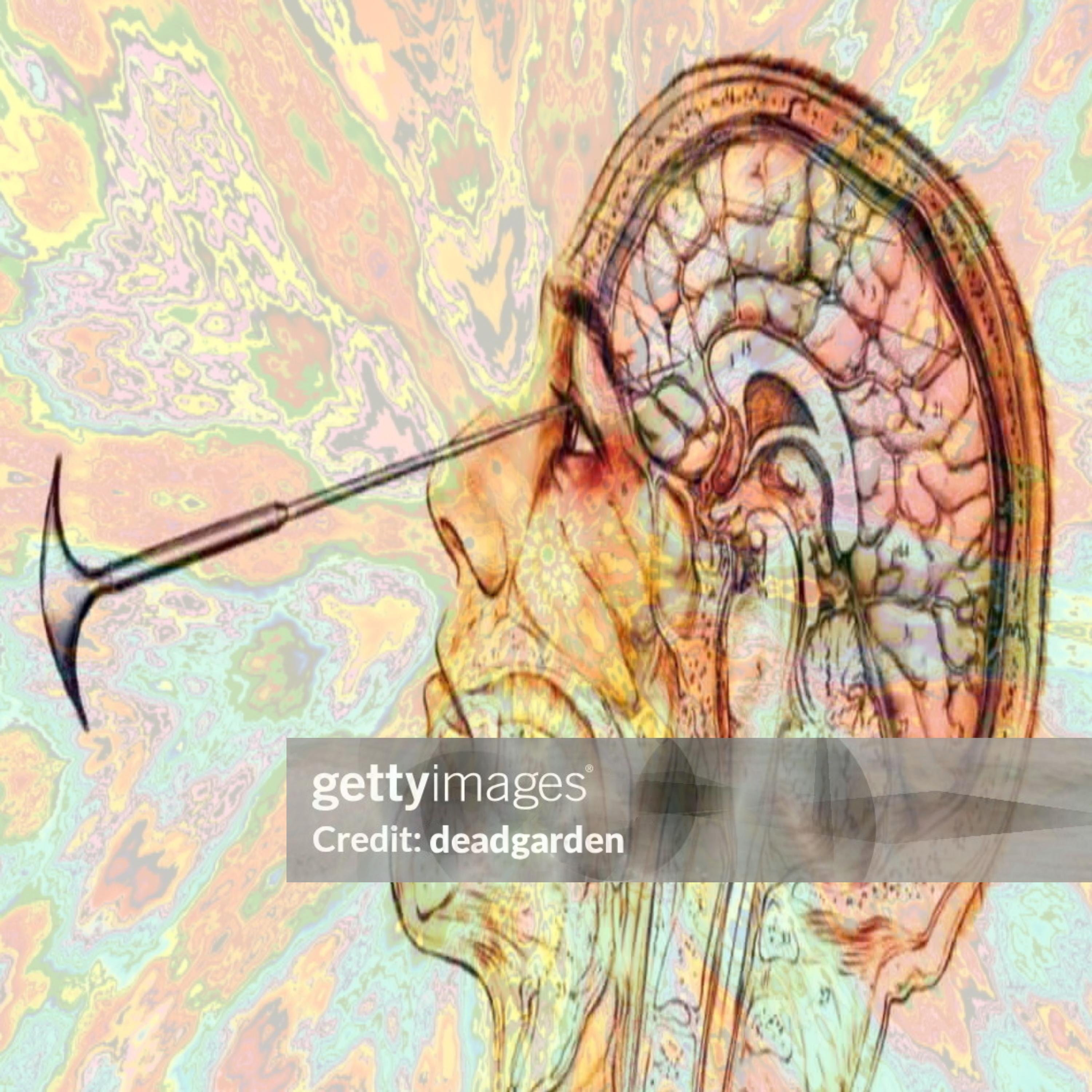 pretty girls don't die