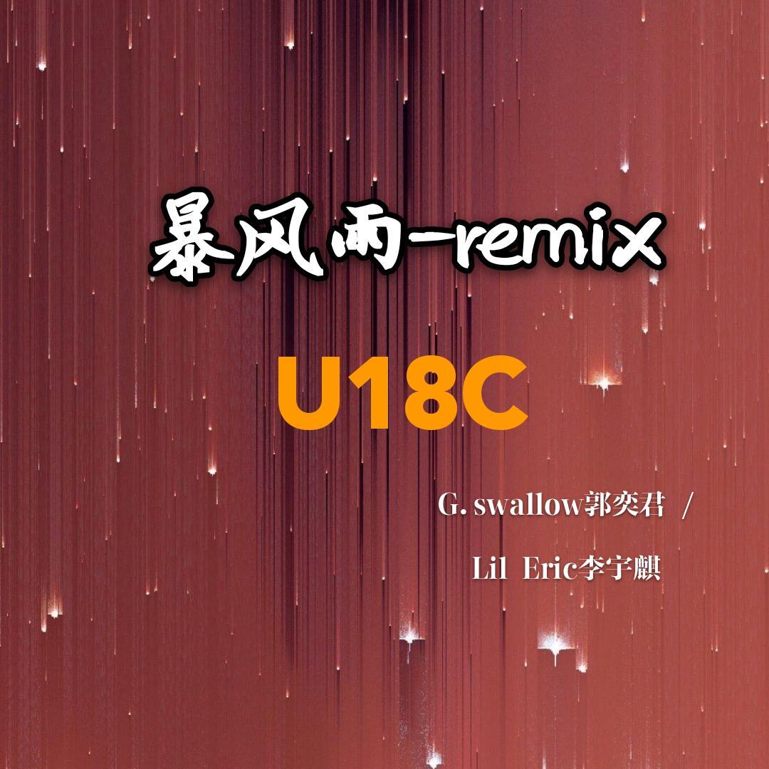 奉天组-暴风雨（G.Swallow郭奕君 / Lil Eric remix）