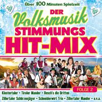 Der Volksmusik Stimmungs Hit-Mix - Folge 2