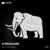 D-Richhard - Up and Down