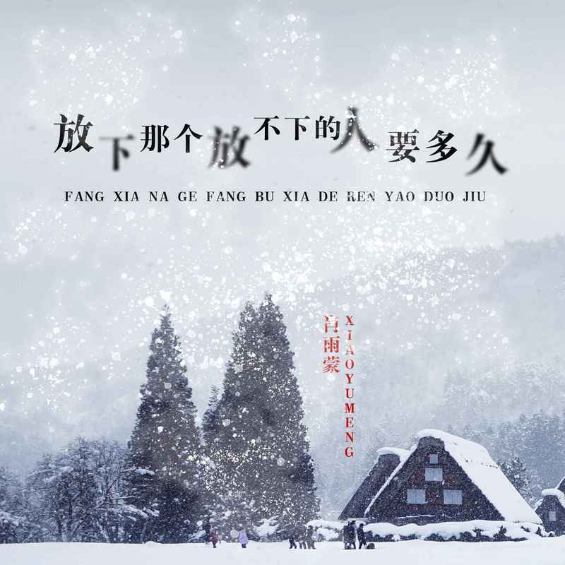 放下那个放不下的人要多久 (Live合唱版) - 肖雨蒙封面