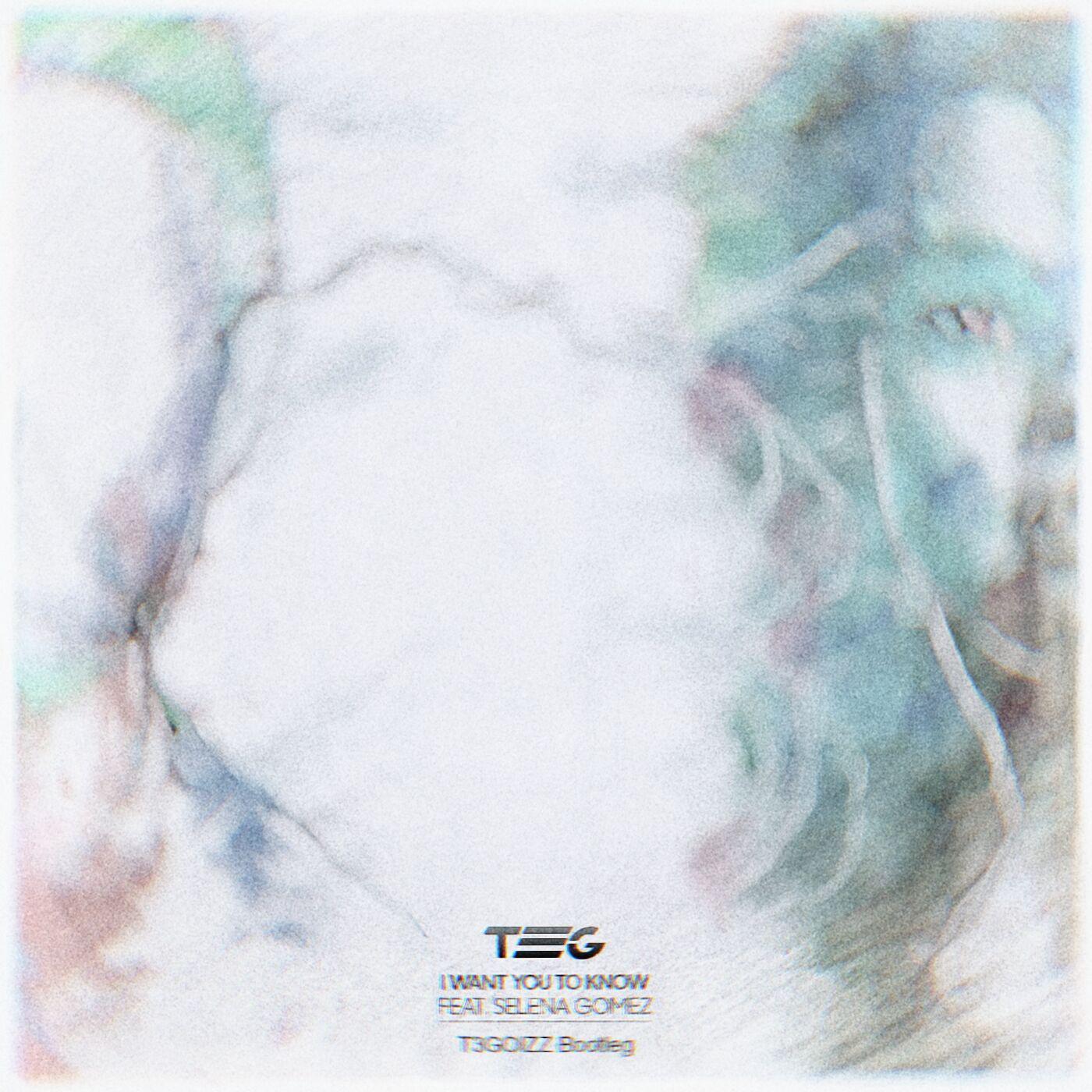 Zedd-I Want You To Know(T3GOIZZ Bootleg)(T3GOIZZ remix)